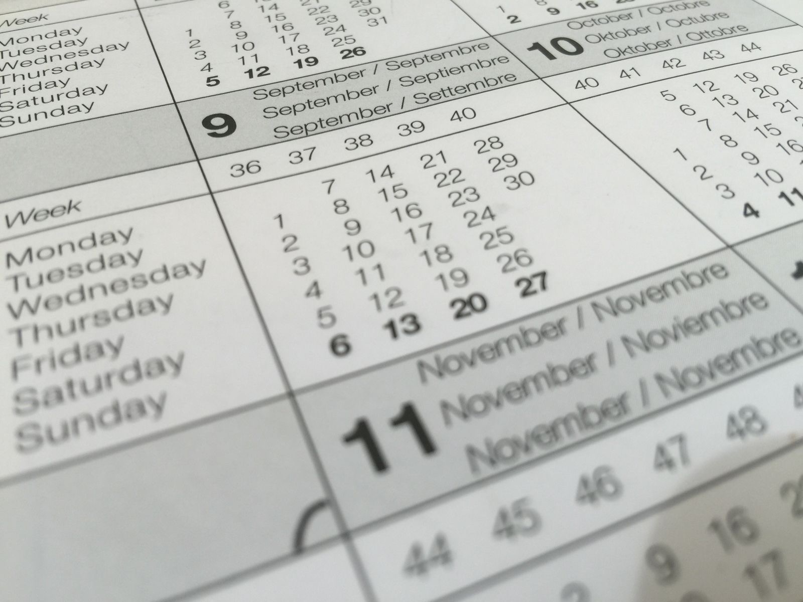 Close-up of a wall planner calendar with dates